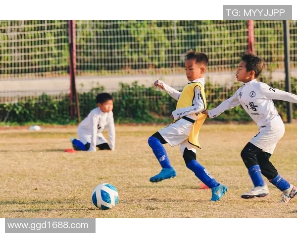足球明星在绿茵场上挥洒汗水展现风采的精彩瞬间 足球明星在绿茵场上挥洒汗水展现风采的精彩瞬间