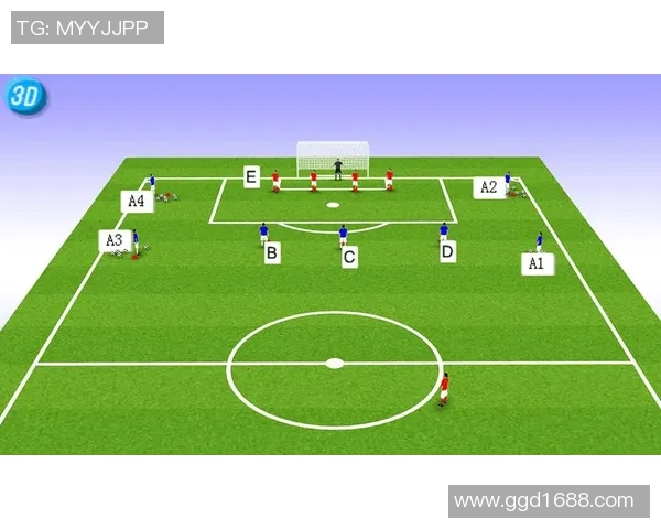 官方足球教练的职责与发展路径探讨及其对青少年足球的影响分析