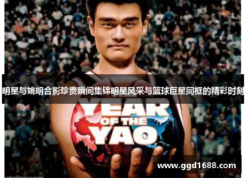 明星与姚明合影珍贵瞬间集锦明星风采与篮球巨星同框的精彩时刻